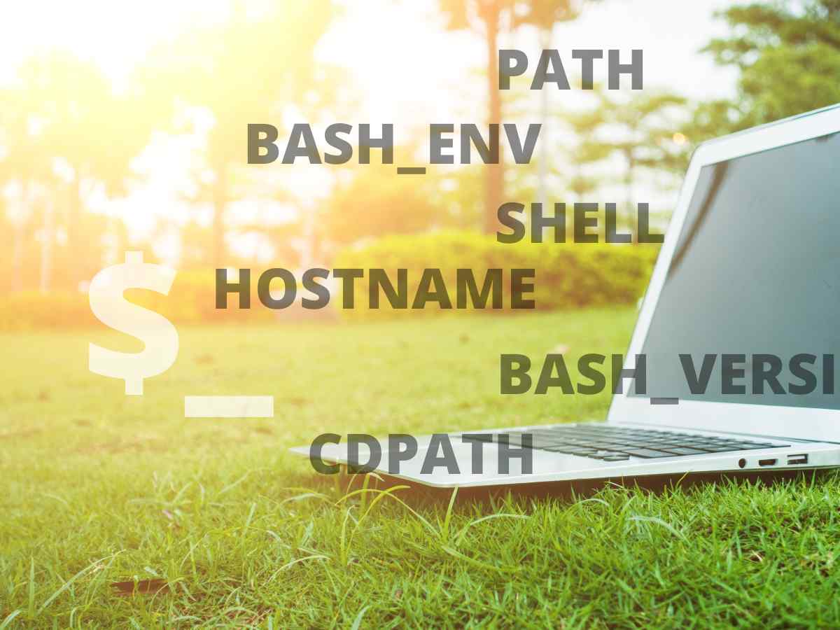 A Complete Guide To The Bash Environment Variables