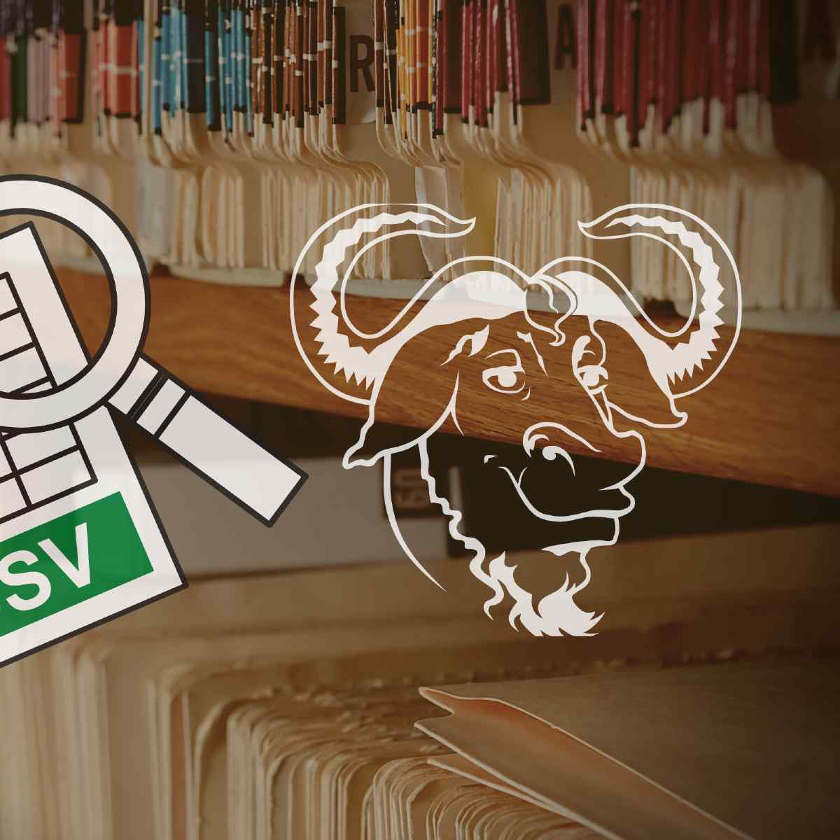 How to Parse a CSV File in Bash?