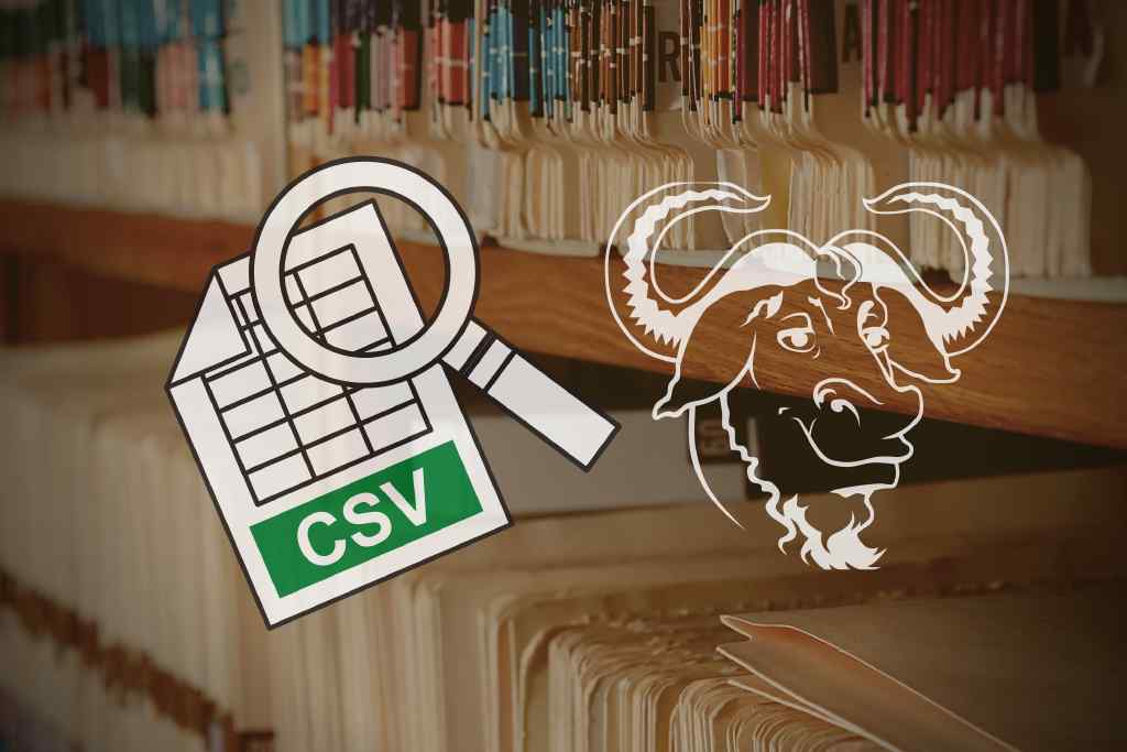 How to Parse a CSV File in Bash?