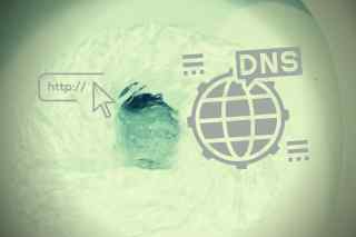 How to flush your DNS Cache on Mac OS X?